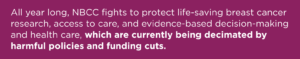 All year long, NBCC fights to protect life-saving breast cancer research, access to care, and evidence-based decision-making and health care, which are currently being decimated by harmful policies and funding cuts.